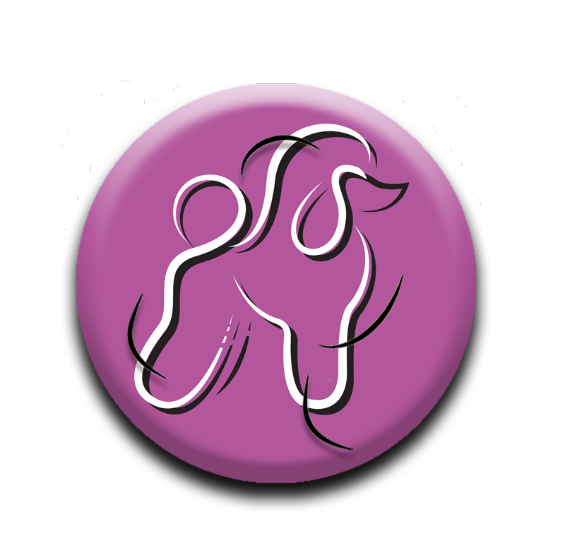 video.hundepflege-online.de