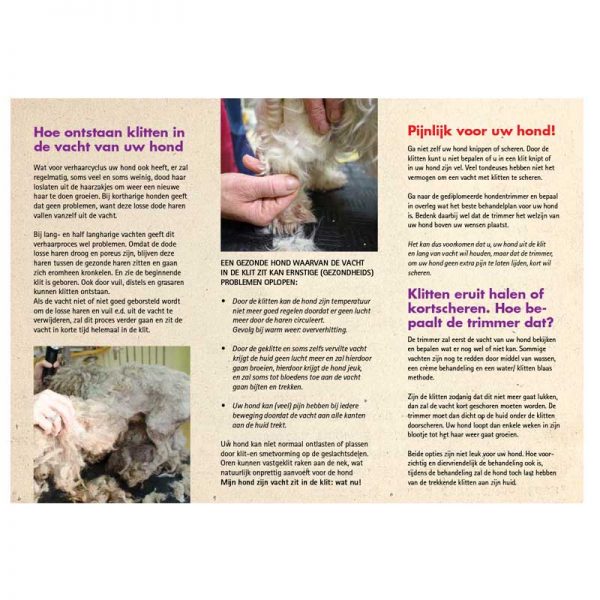 Klitten, pijnlijk voor uw hond én portemonnee - Afbeelding 2