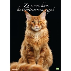 So schön kann Katzenpflege sein!