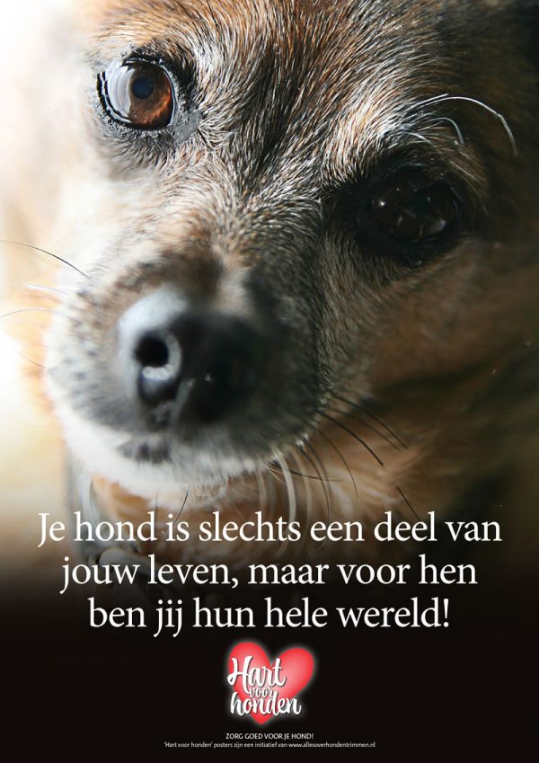 Hart voor honden’ poster ‘mijn hele wereld’