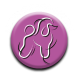 hundepflege-online